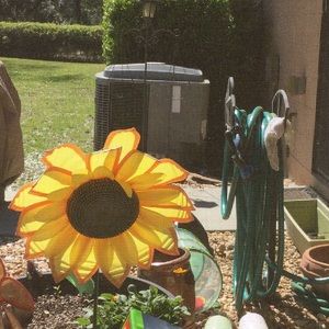 Meet your Posher, Jane